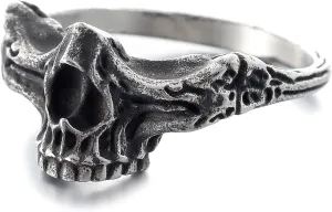 2023 Skull Ring Cool Evil Death Punk Rock Stainless Steel Rings Aly Style Jewelry