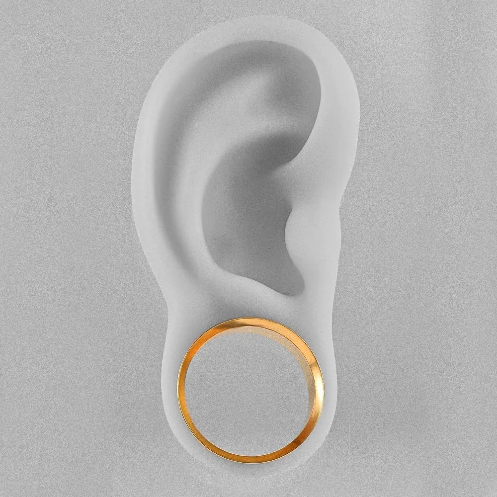 2PCS Ear Gauges Stainless Steel Fashion Ear Tunnels with 6 Pcs Nose Rings, 2 Pcs beads and 2Pcs Cones Weights for Stretched Ears Studs Body Piercing Jewelry