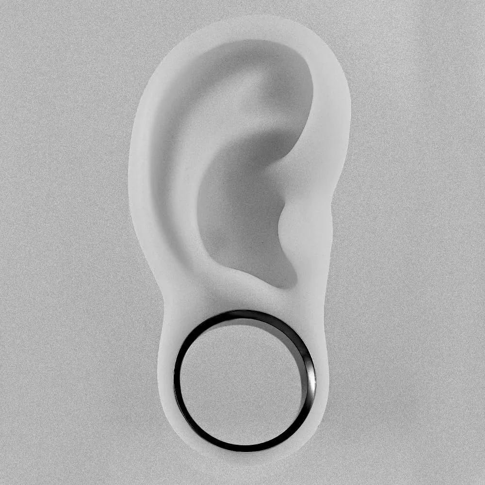 2PCS Ear Gauges Stainless Steel Fashion Ear Tunnels with 6 Pcs Nose Rings, 2 Pcs beads and 2Pcs Cones Weights for Stretched Ears Studs Body Piercing Jewelry