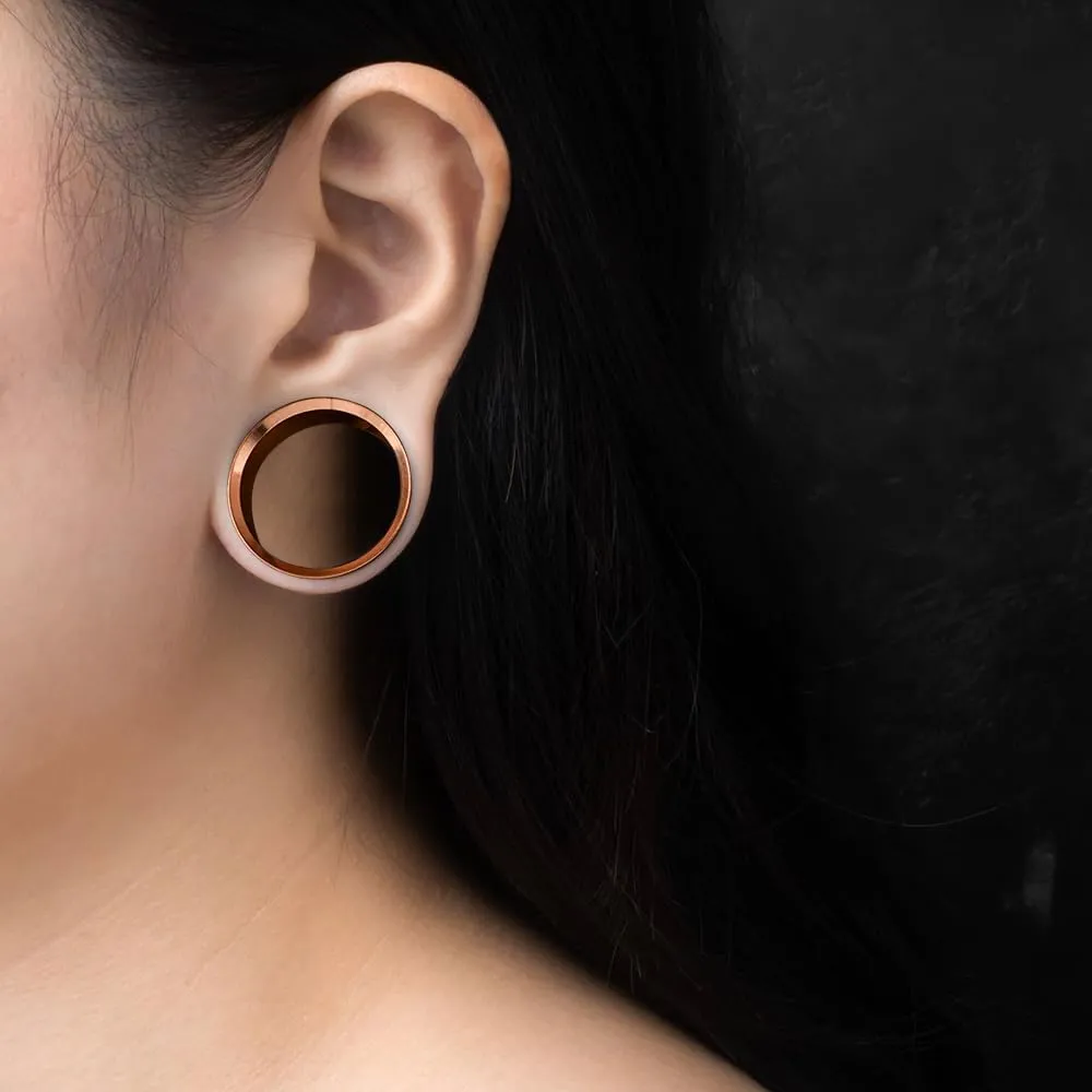 2PCS Ear Gauges Stainless Steel Fashion Ear Tunnels with 6 Pcs Nose Rings, 2 Pcs beads and 2Pcs Cones Weights for Stretched Ears Studs Body Piercing Jewelry