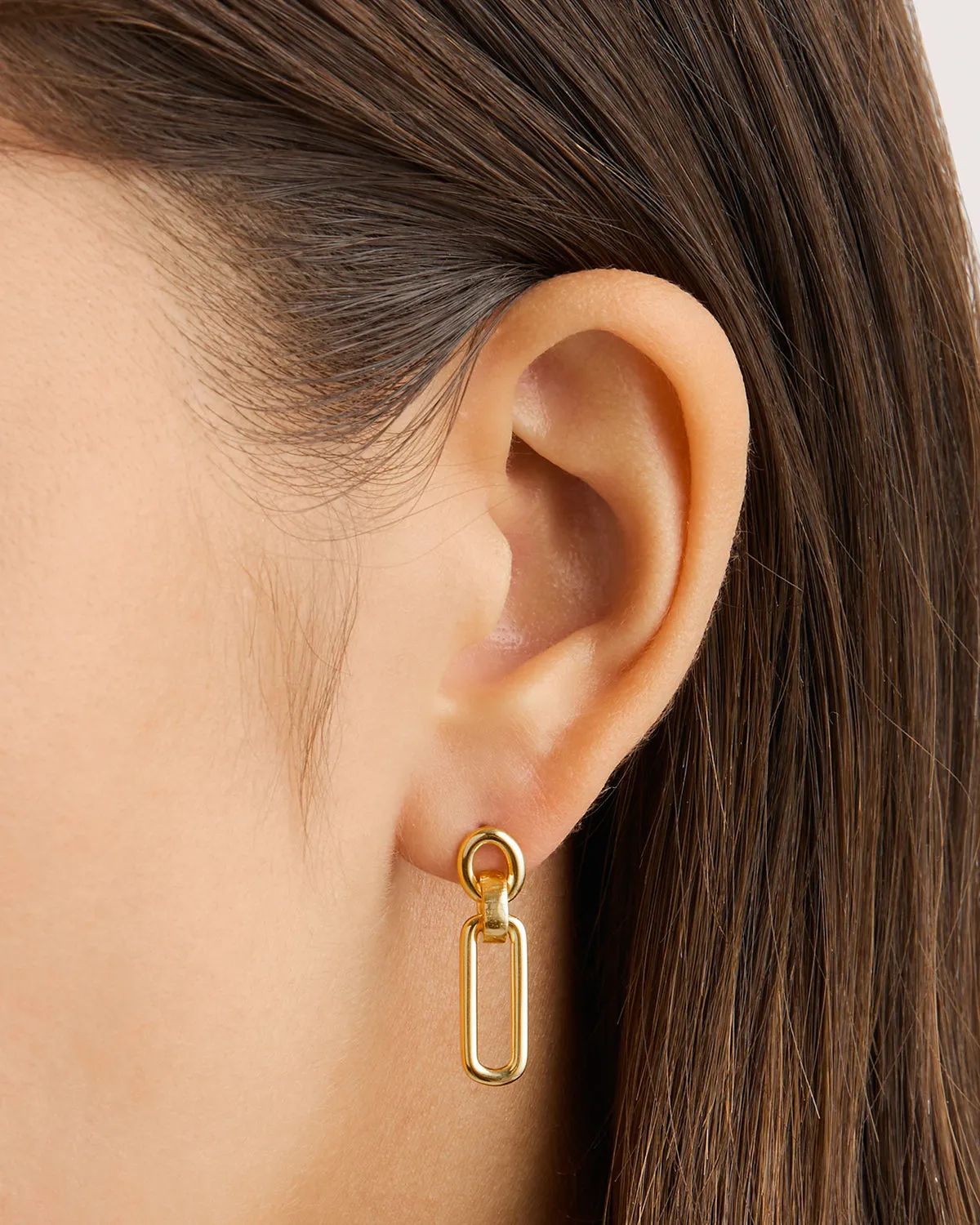 By Charlotte Shield Drop Earrings, Gold or Silver