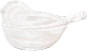 Funny live Bird Shaped Glass Jewelry Box Organizer, Transparent Glass Art Home Decor Novel Jewelry Storage Decoration Ring Earring Holder for Women Girls (Clear)