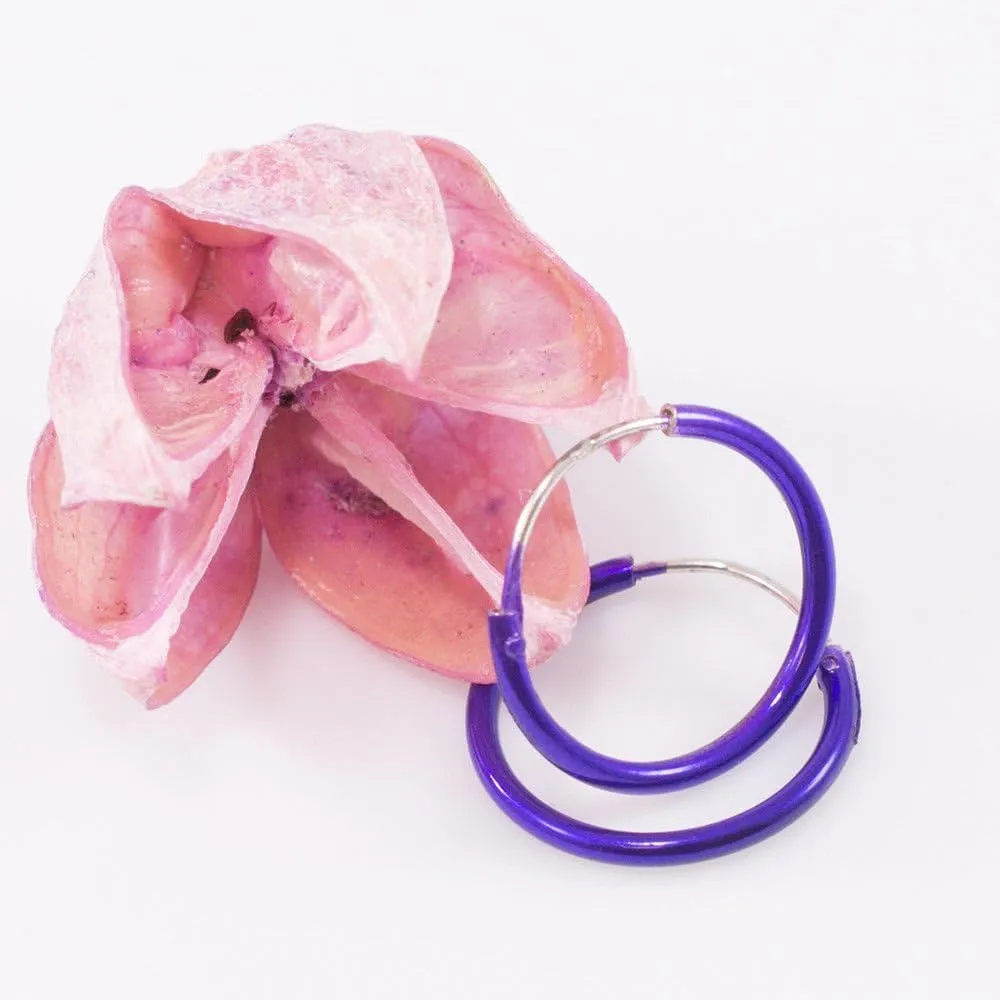 Pair of Hinged Hoops 22 Gauge 1/2" (12mm) Perfect for Cartilage, Helix, Rook and lobe