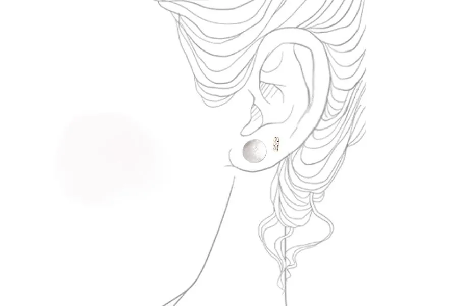 Silver Organic Stardust Studs